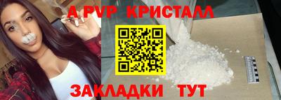 дурь Кингисепп