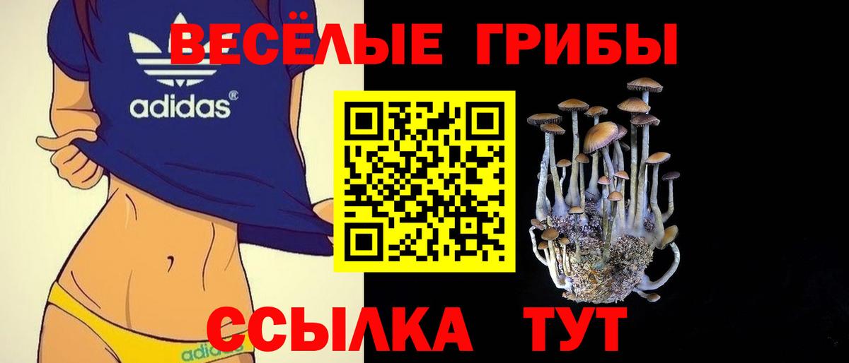 Галлюциногенные грибы Cubensis  Вход с VPN  Псилоцибиновые грибы Magic Shrooms  Зеленодольск 